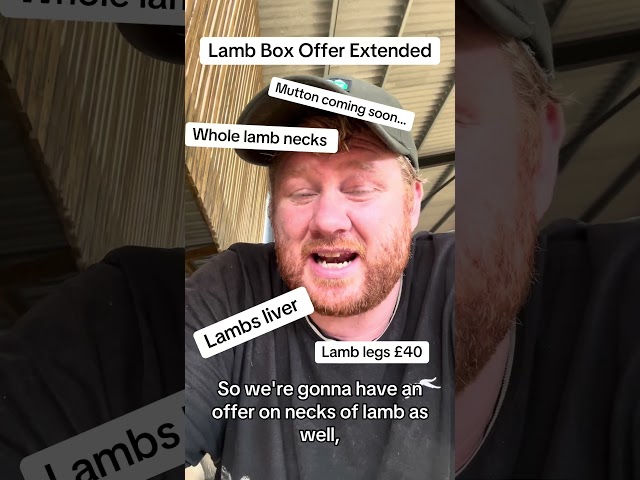 Big Deals