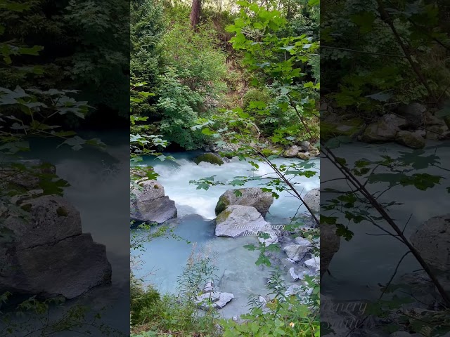 Alpine Flow🏞️🌿Relaxing Mountain River #riversounds #calming #nature #tranquilscenery #waterfall