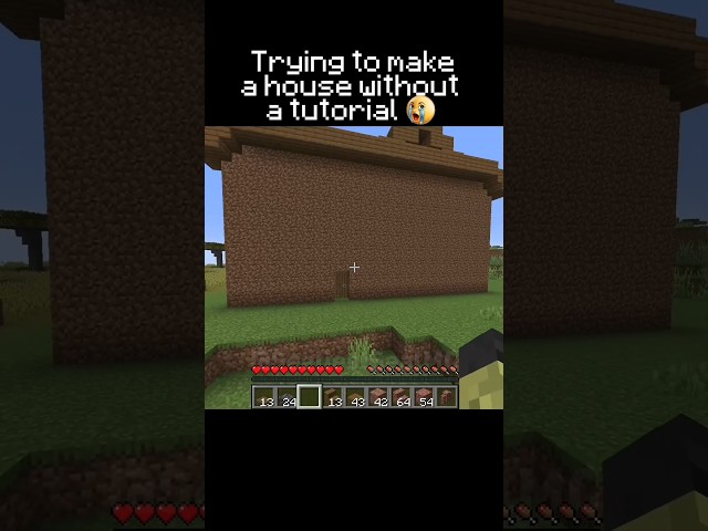 Building a House Without a Tutorial #gaming #minecraftshorts #minecraft #funny