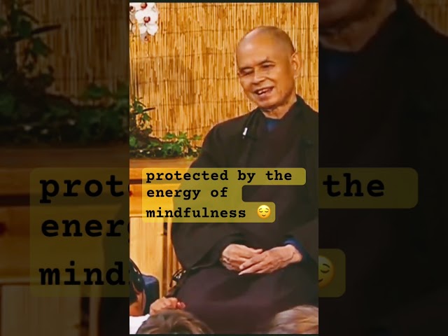 A smarter way to deal with anger 😌 #zen #meditation #plumvillage #thichnhathanh