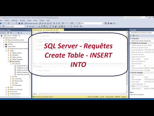 SQL Tutorial - Create tables statement - INSERT INTO SQL | IT Development