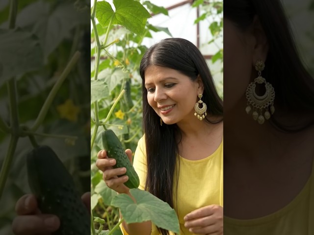 ये तो कमाल हो गया 😱 #youtubeshorts #viral #shortsfeed #trending