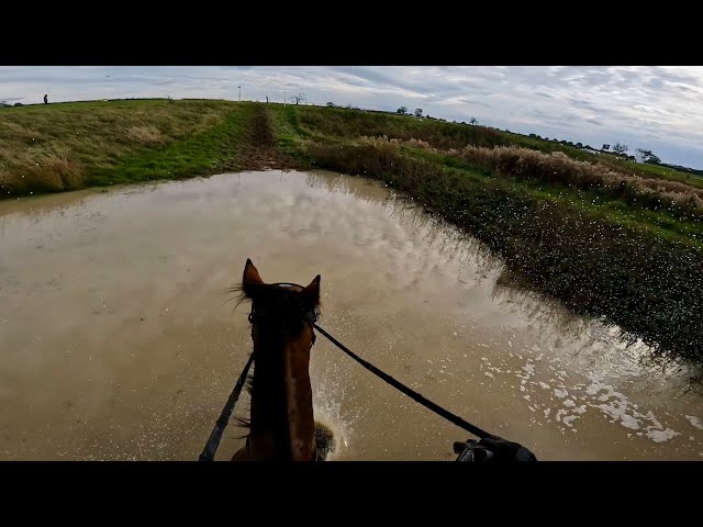 Ozzie hat cam, Teamchasing WIN 🏆 Belvoir 2.0 intermediate speed, 2026. Team Ride Away 4 💨 