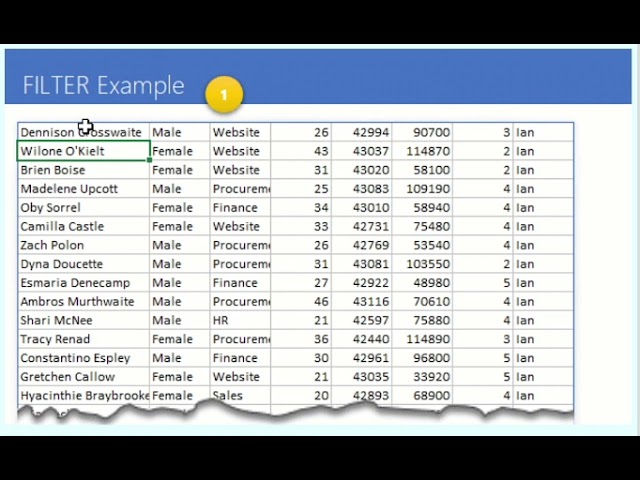 FILTER FUNCTION IN EXCEL