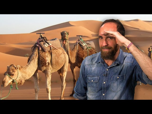 The Mysterious Problem of the Camel Created Out of Thin Air