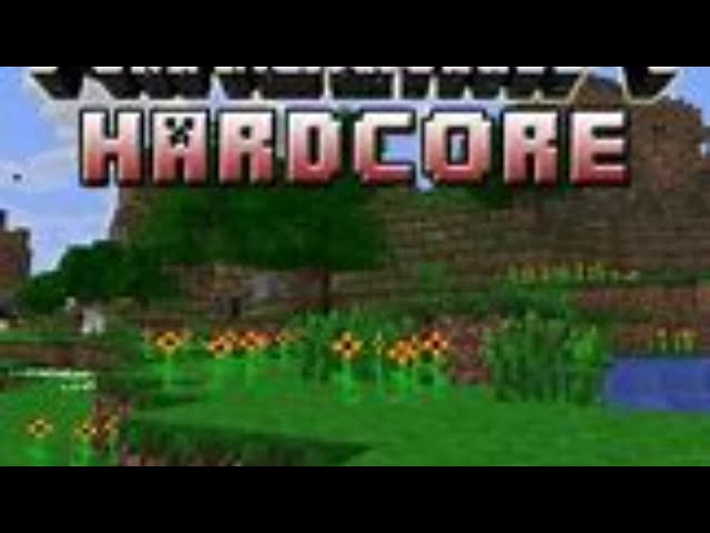 The start of Minecraft HARDCORE Ep:1
