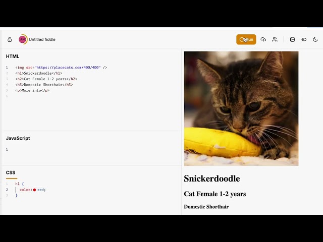 HTML and CSS basics using JSFiddle