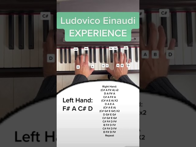 Experience - Ludovico Einaudi (Easy Beginner Piano Tutorial With Letters) #Shorts