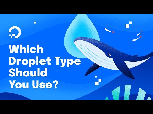DigitalOcean Droplets: Choosing the Correct Type for Your Project