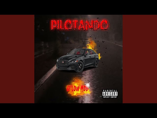 Pilotando