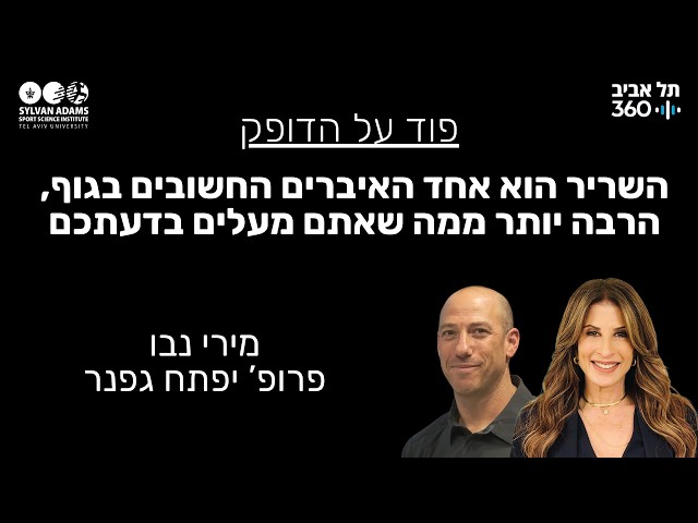 השריר הוא אחד האיברים החשובים בגוף, הרבה יותר ממה שאתם מעלים בדעתכם