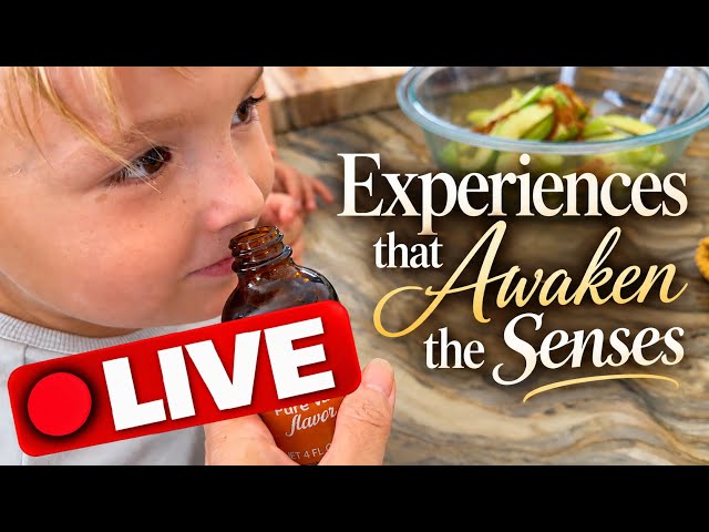 Live Lessons that Awaken the Sense | Kindergarten | Day 1