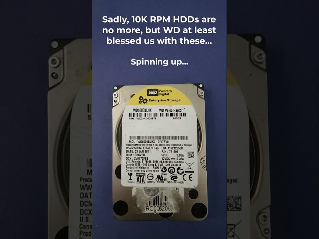 WD VelociRaptor WD6000BLHX-01V7BV0 HDD Sounds | #harddrivesounds
