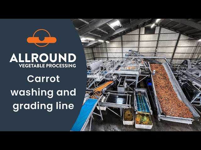 Carrot washing and grading line | Netherlands | Allround Vegetable Processing