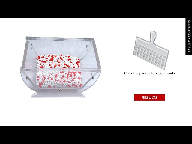 Red Bead Experiment DemingNEXT Course