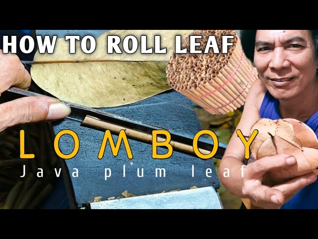 My rolling idea