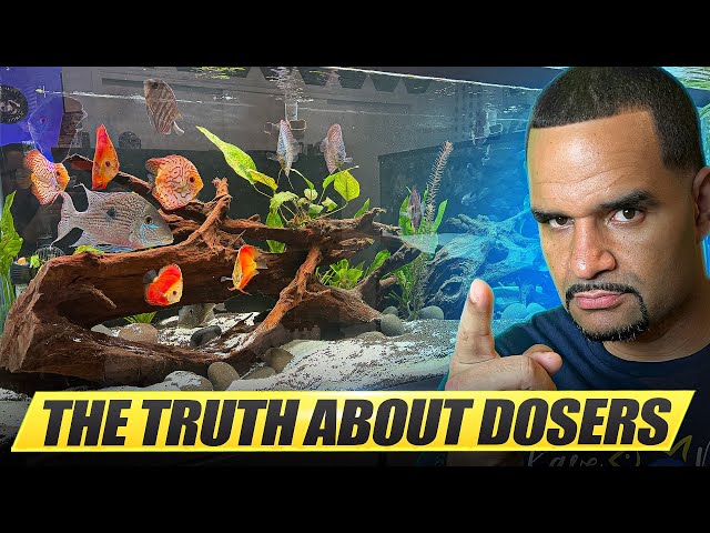 Before You Buy an Aquarium Doser...Watch This!