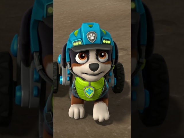 PAW Patrol Save a Pterodactyl! 🦖