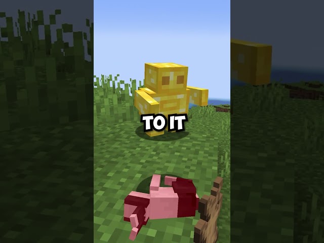 Minecraft's Newest Golem!