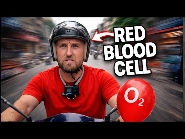 We Turned the Circulatory System into a Motorbike Race in Vietnam