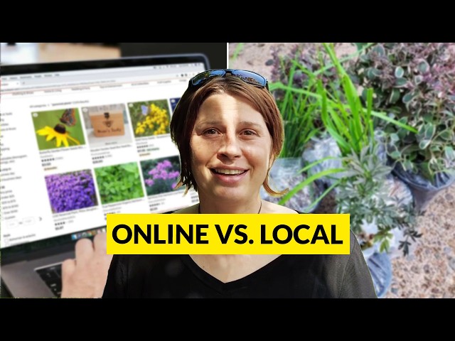 Buying Plants Online? Watch This Before You Order