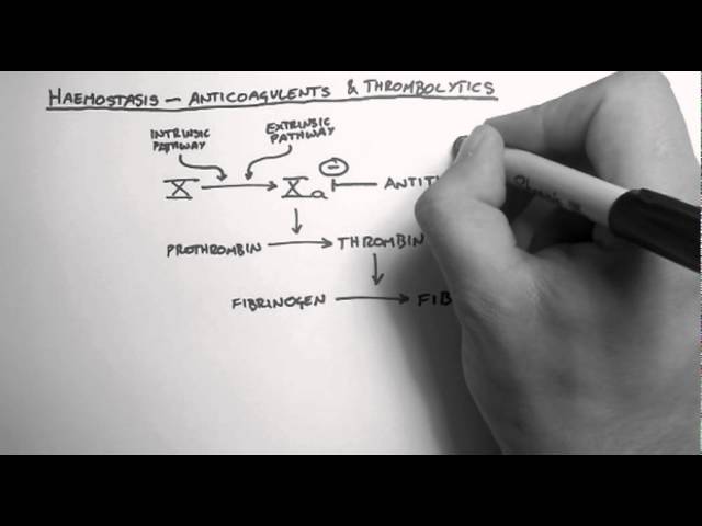 Haemostasis 3 - Anticoagulants & Thrombolytics