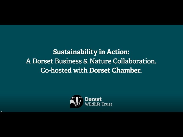 Sustainability in action: A Dorset Business & Nature Collaboration.