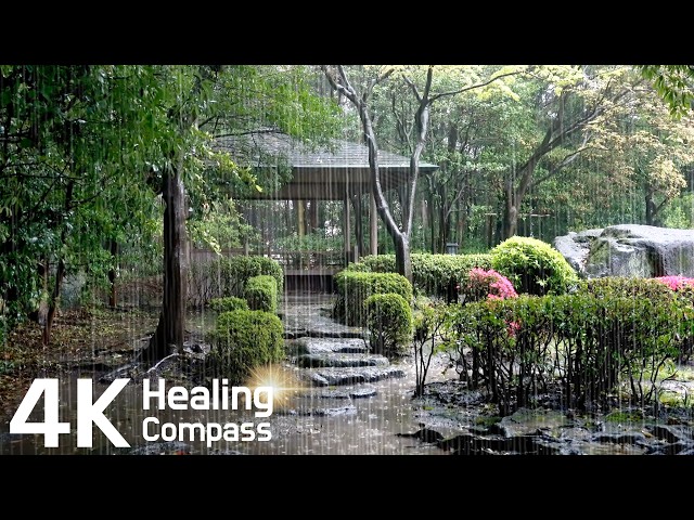 Heavy Rain Pouring Around a Peaceful Park Pavilion, Relaxing Rain Sounds for Sleep, White Noise ASMR