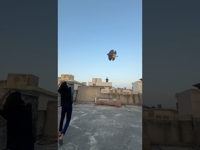 Itani payari tukal loot li 😍 #short #kiteflying #youtubeshorts