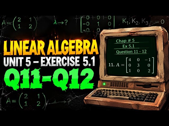 Linear Algebra Chapter 5 Exercise 5.1 | Q11-Q12 Solved | Step-by-Step Solution