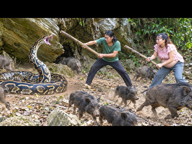 Just in time: Young soldier rescues his piglet from a massive python on the farm