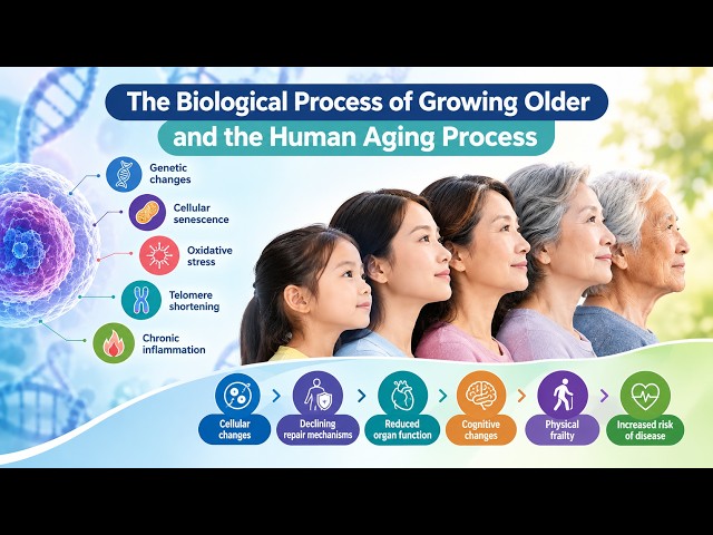 The Biological Process of Growing Older and the Human Aging Process (5 Minutes)