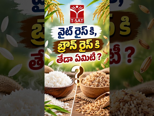 వైట్ రైస్ కి, బ్రౌన్ రైస్ కి తేడా ఏమిటి ? | T-SAT