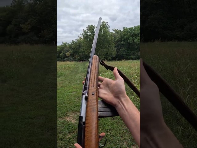 Italian SVT40 Shotgun?
