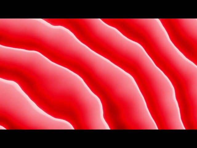 4K Pink Wavy Lines Animation | Free Royalty-Free Video Background
