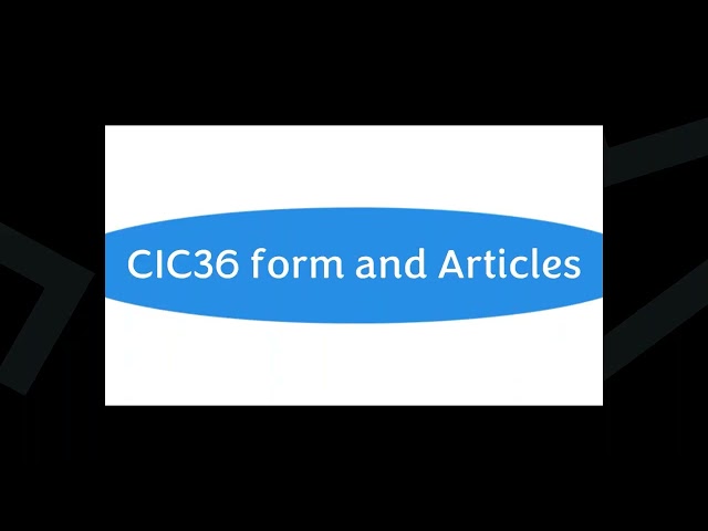CIC Incorporations: A Guide to the Online Journey