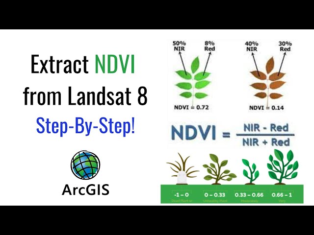 How to extract NDVI from Landsat 8 Satellite Imagery Data in ArcGIS?