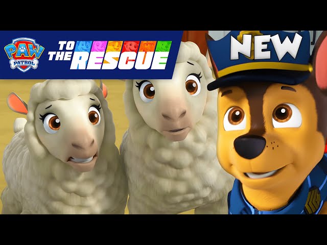NEW! Chase Rescues the Runaway Sheep | PAW Patrol: To The Rescue | Cartoons for Kids