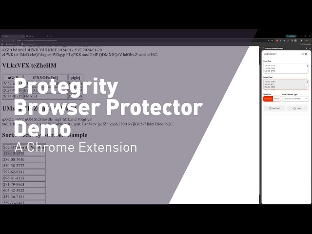 Protegrity Browser Protector: Zero-Trust Data Security for Web Apps (MV3)