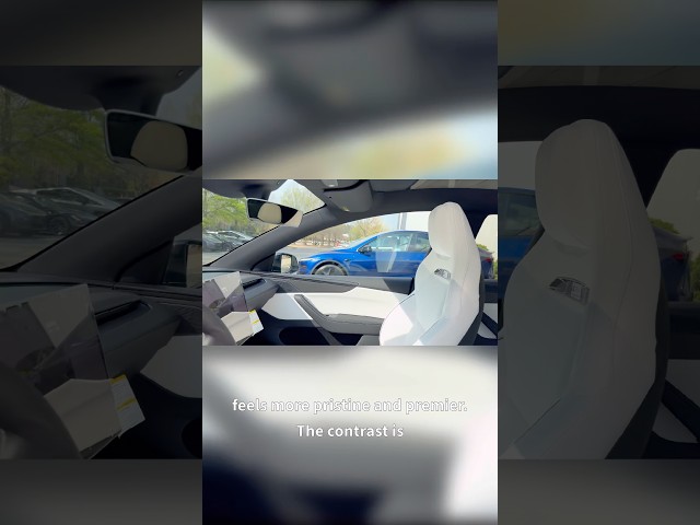 Most Tesla Owners Choose the Wrong Interior