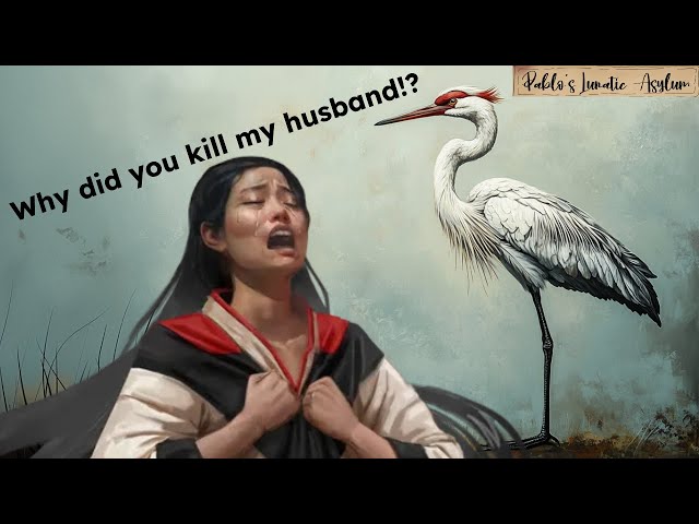 Can ANYTHING Bring The Crane Wife's Husband Back? A Pathfinder 2e Animated Tale.