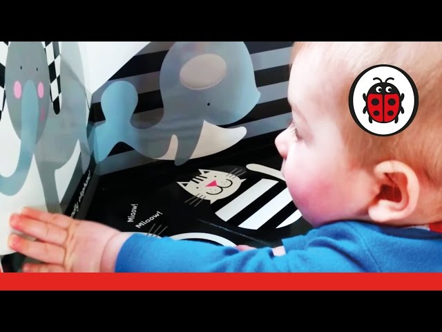 Ladybird Tummy Time Book In Action