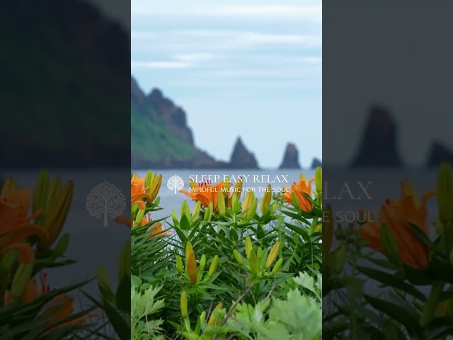 Nature's Whispers & Calming Tunes for Relaxation #shorts