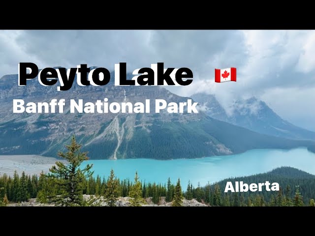 Peyto Lake | Banff National Park | 2.5 hr from Calgary Tourist Destination | Alberta | Canada 🇨🇦