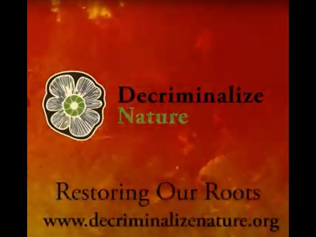 Decriminalize Nature Introduction with Stiner Bros and Solana Booth
