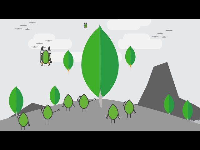 MongoDB Tutorial for Beginners