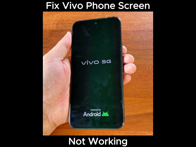 Fix Vivo  T5X 5G Phone Screen Not Working