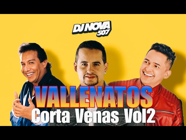VALLENATOS CORTA VENAS VOL2 MIX 2024 - DJ NOVA - PUNISHER VOL6