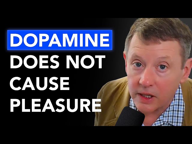 Neuroscientist: How the Brain Creates Pleasure | Dr. Kent Berridge