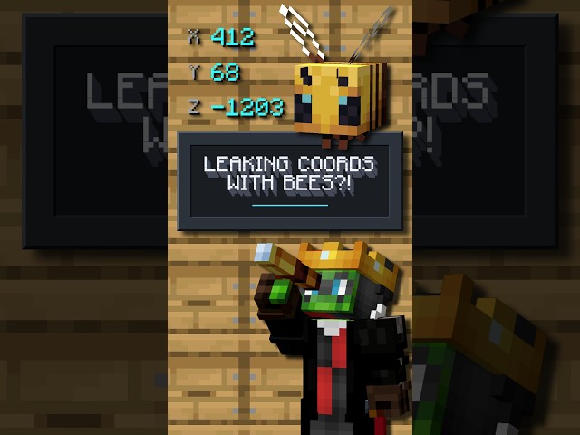 Leaking Coords with Bees?! #minecraft #donutsmp